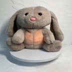 Bunny Comforter Breathes For Newborn Conciliate Baby